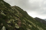 PIZZO ZERNA (2572 m) dalla Valsambuzza con Laghettii di Caldirolo il 24 luglio 2016  - FOTOGALLERY